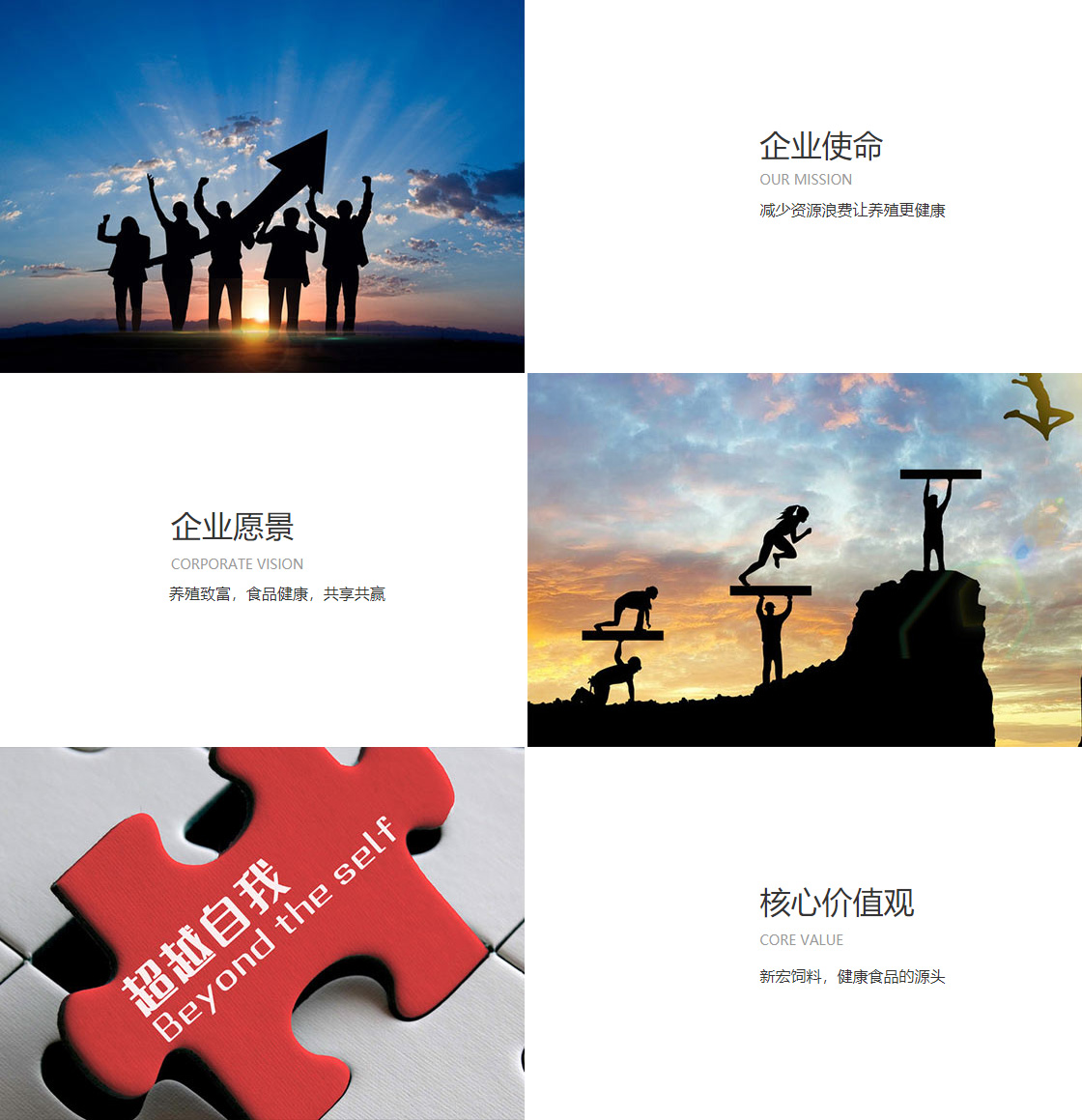 星空·综合体育(图1)